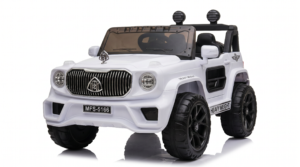 Veture Me Bateri MAYBACH TTF5166